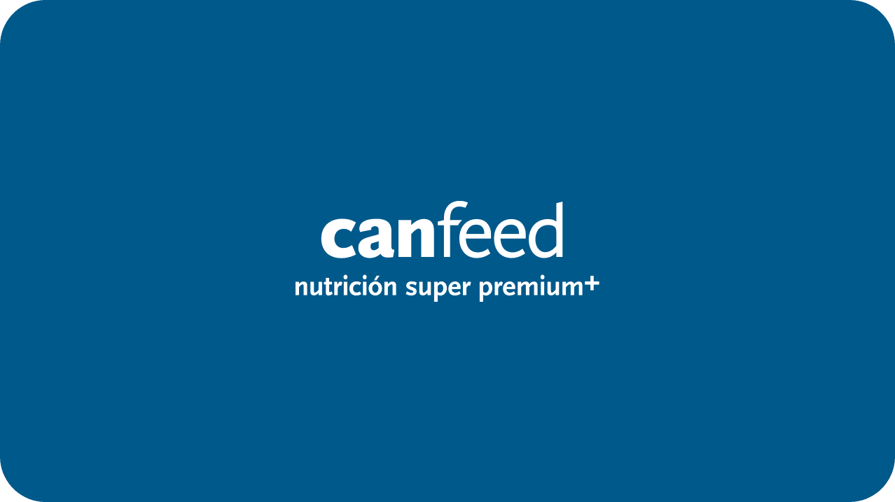 Lvanto Can Feed
