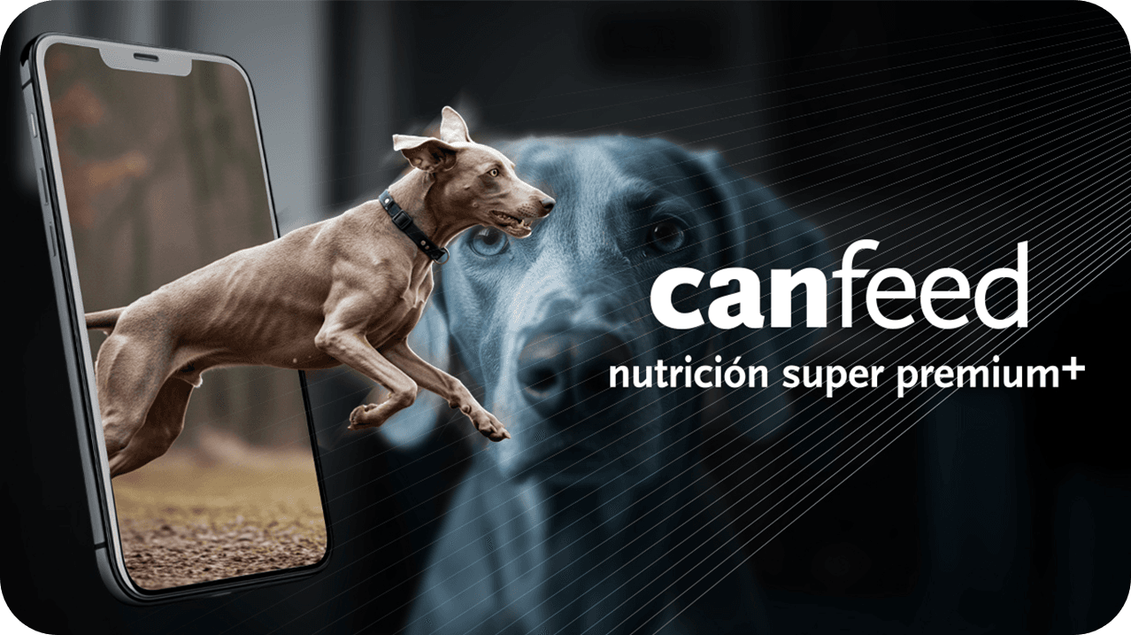 Lvanto Can Feed