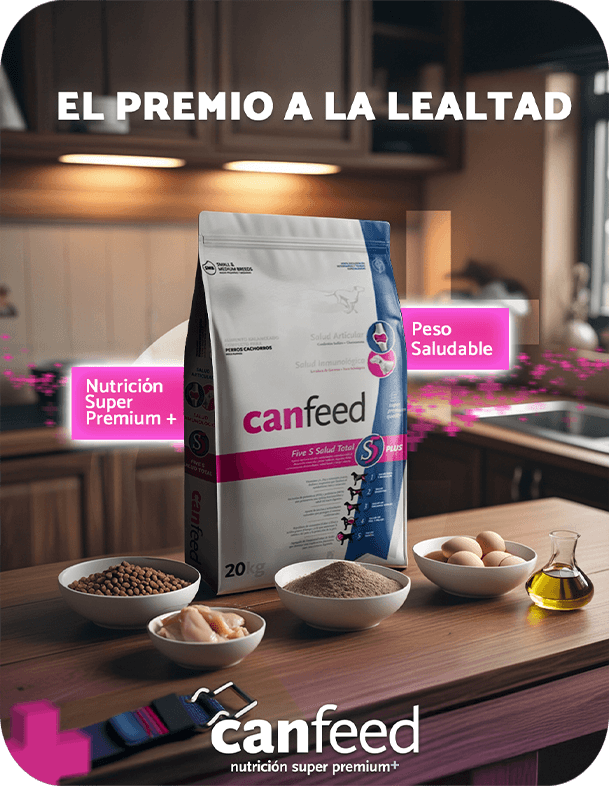 Lvanto Can Feed